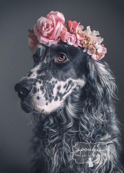 Coronas de flores