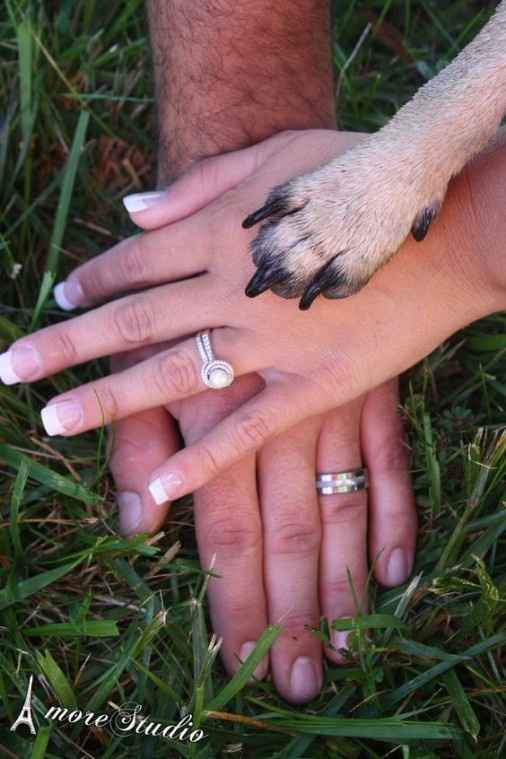 Pugs en la boda