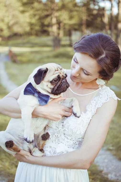 Pugs en la boda