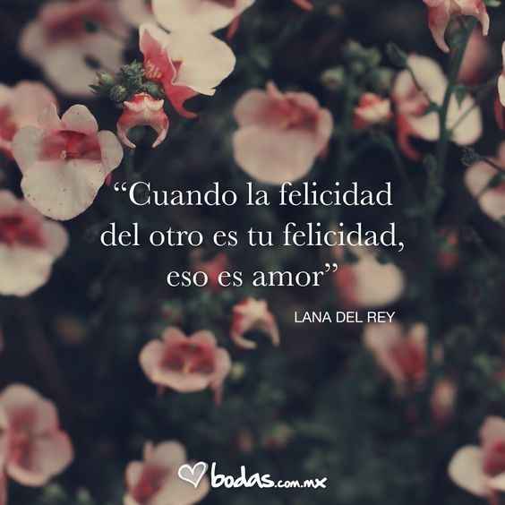 Frases de amor