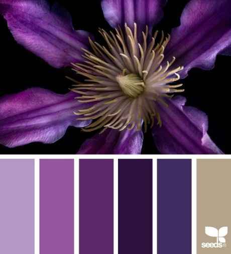 Pantone 2018