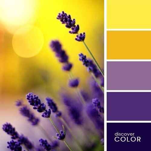 Pantone 2018