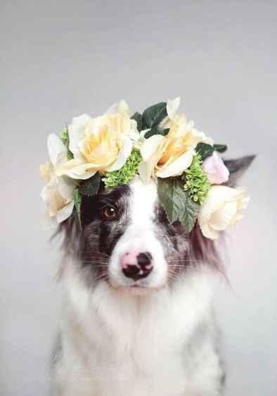 Coronas de flores