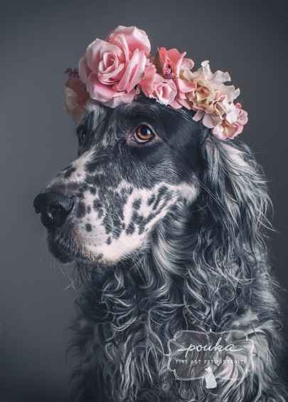 Coronas de flores