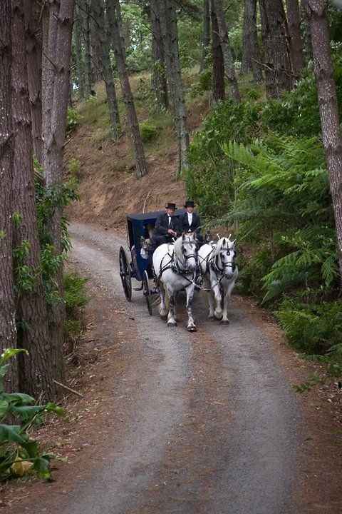 Carruajes para bodas