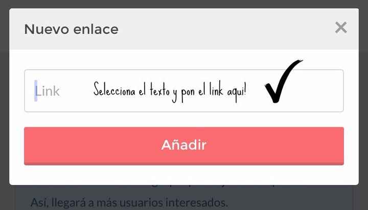 Soporte