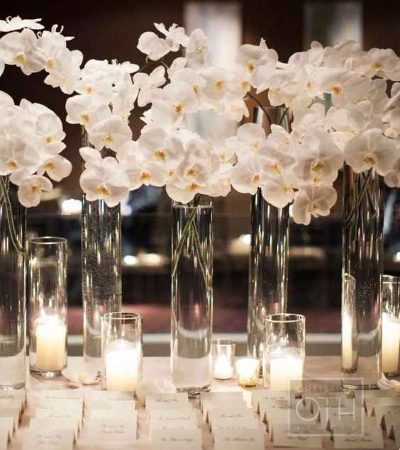 Centros de mesa con orquídeas blancas - Foro Organizar una boda -  bodas.com.mx