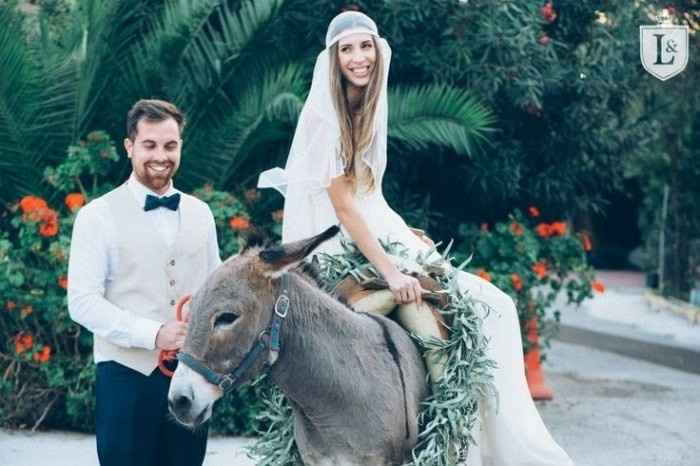 Burros en la boda