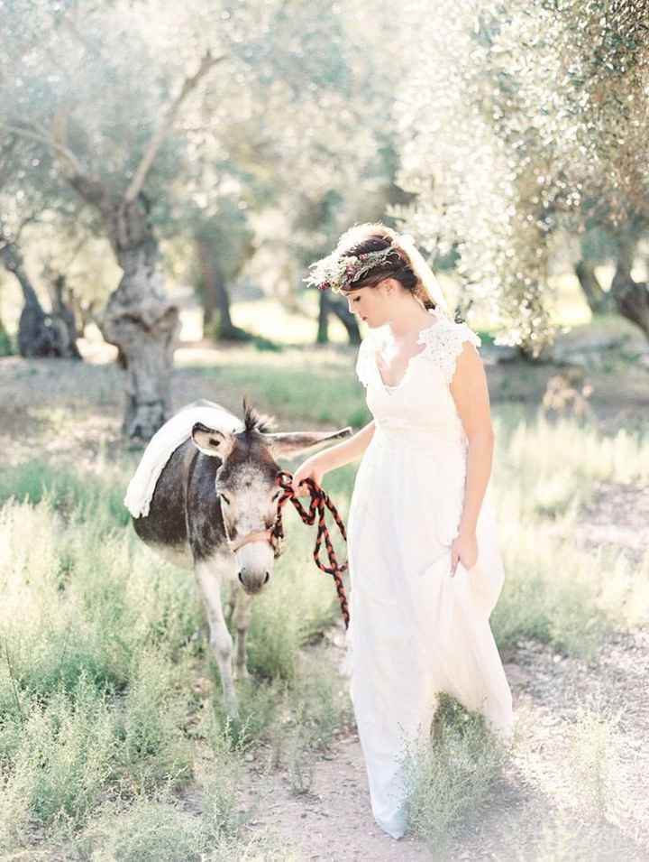 Burros en la boda