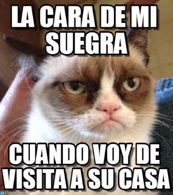 Memes De La Suegra Foro Antes De La Boda Bodas Com Mx