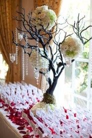 Arbolitos bonsai