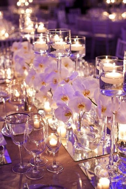 Orquídeas blancas