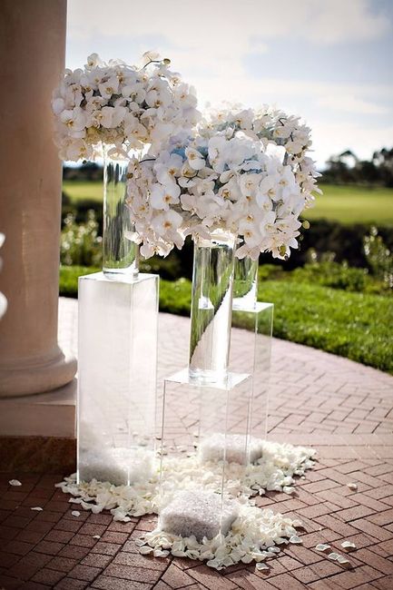 Orquídeas blancas