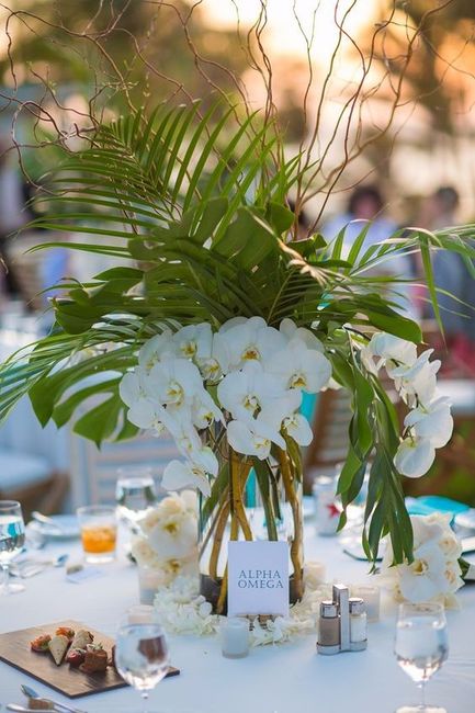 Orquídeas blancas