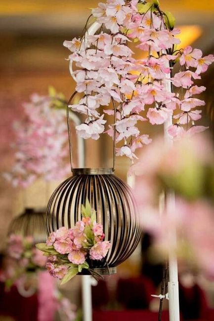 Cherry blossom