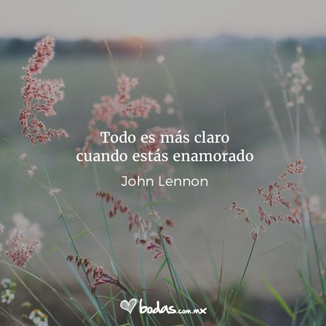 Frases de amor