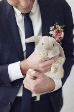 ¡Conejitos en la boda! 😍🐰 2