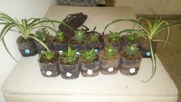 Mi estilo de boda es moderno (con toques clásicos) - 2