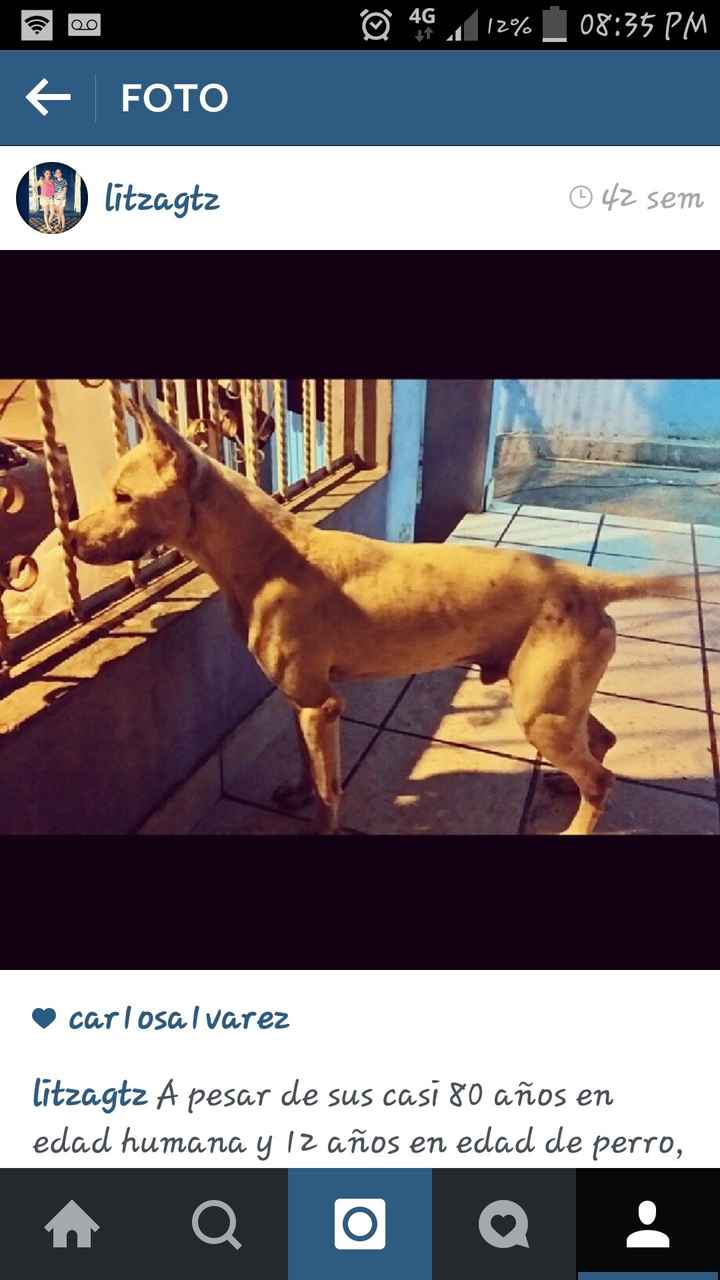 La foto de tu mascota! - 1