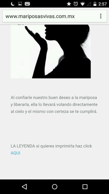 Mariposas de los buenos deseos.. - 2