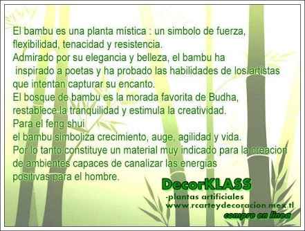 Diy para bambues. - 1