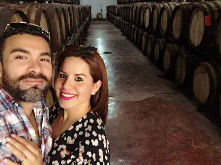 Boda en un viñedo / vineyards wedding - 2