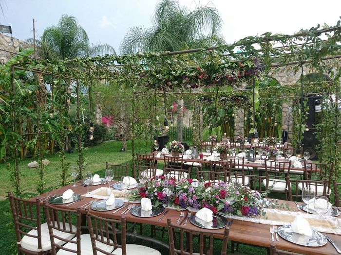 Boda en un viñedo / vineyards wedding - 1