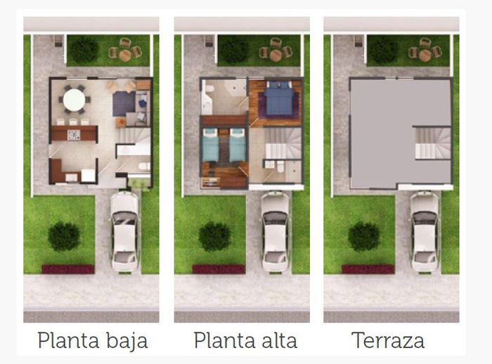 distribucion
