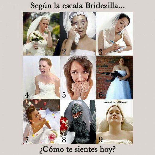 Segun la escala bridezilla, como están?? - 1
