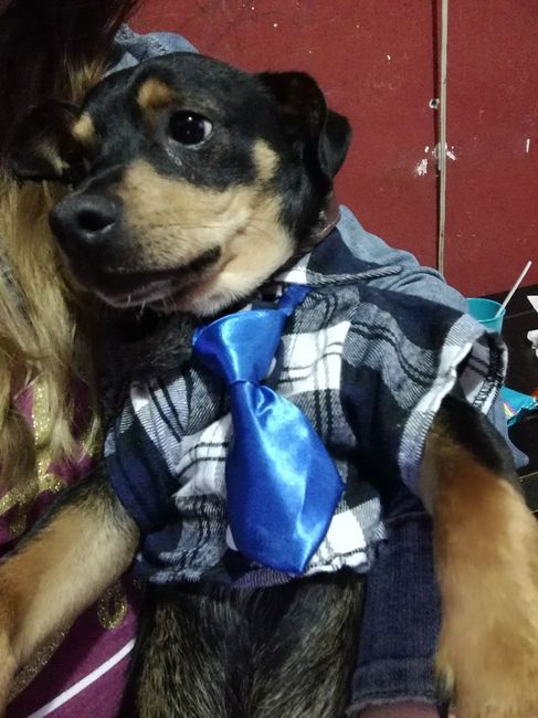 corbata 3 y su camisa casual 