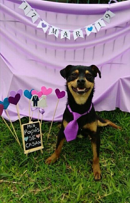 cuando anunciamos nuestro compromiso