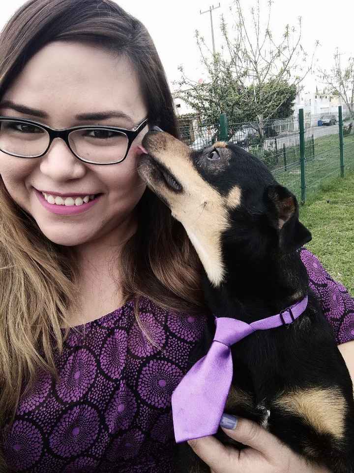 y bueno, al parecer supo que quede contenta con su empeño