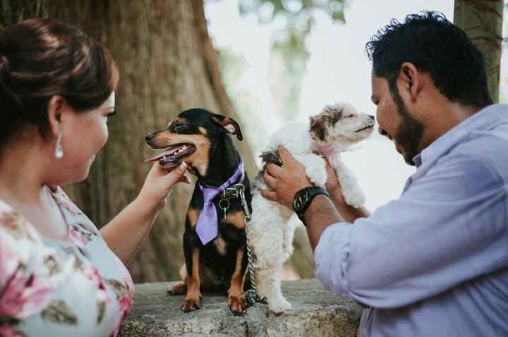 Sesion Save the Date 💜 Brenda & Alberto💙 - 12