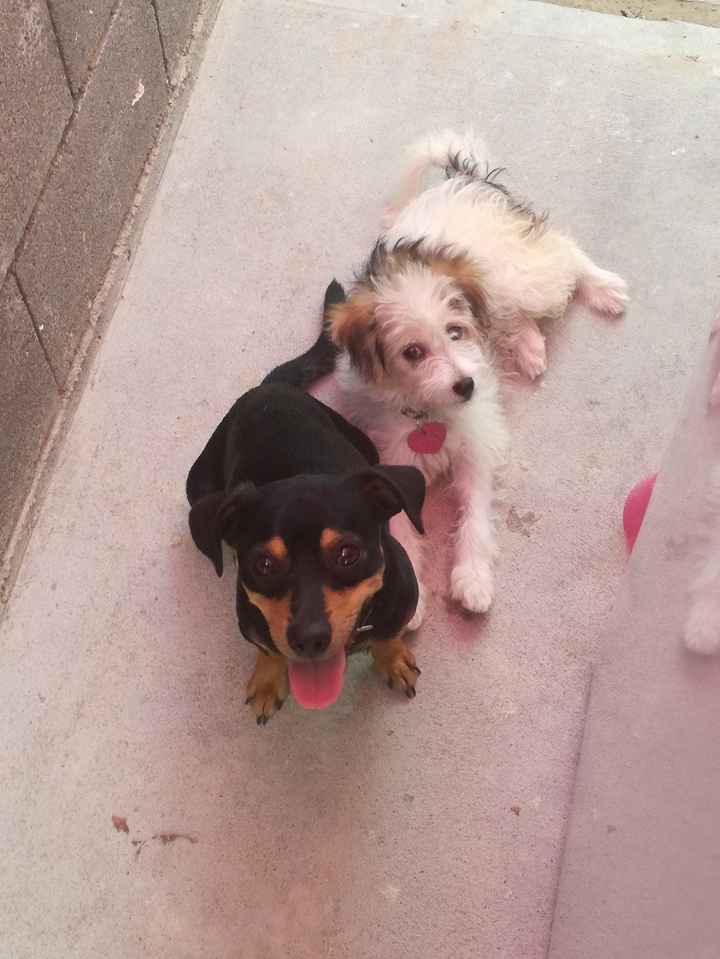 mis bebes acompañandome mientras lavaba ropa jajaa