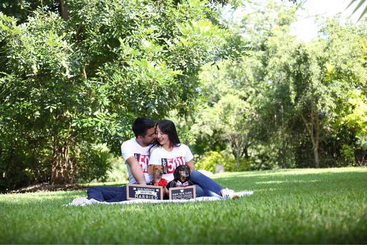Lomitos en nuestro save the date! - 1