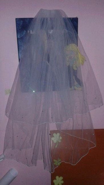 Mi velo, zapatos y tiara - 4