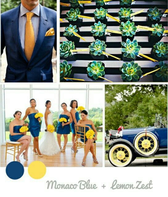 Combinaciones de colores en amarillo y azul - 4