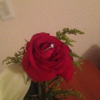 Mi anillo