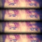 Noemy