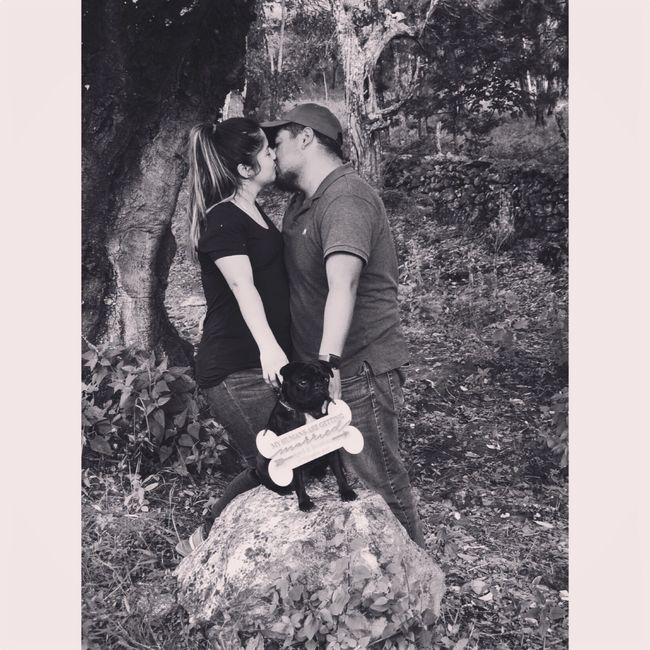 Fotitos con mi perrhija maya. - 4