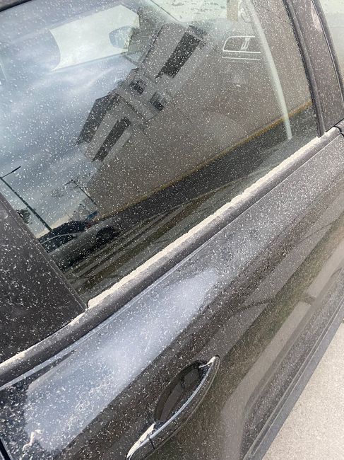 ¿Cuál es tu mayor preocupación ahora mismo? 🤔 - 2