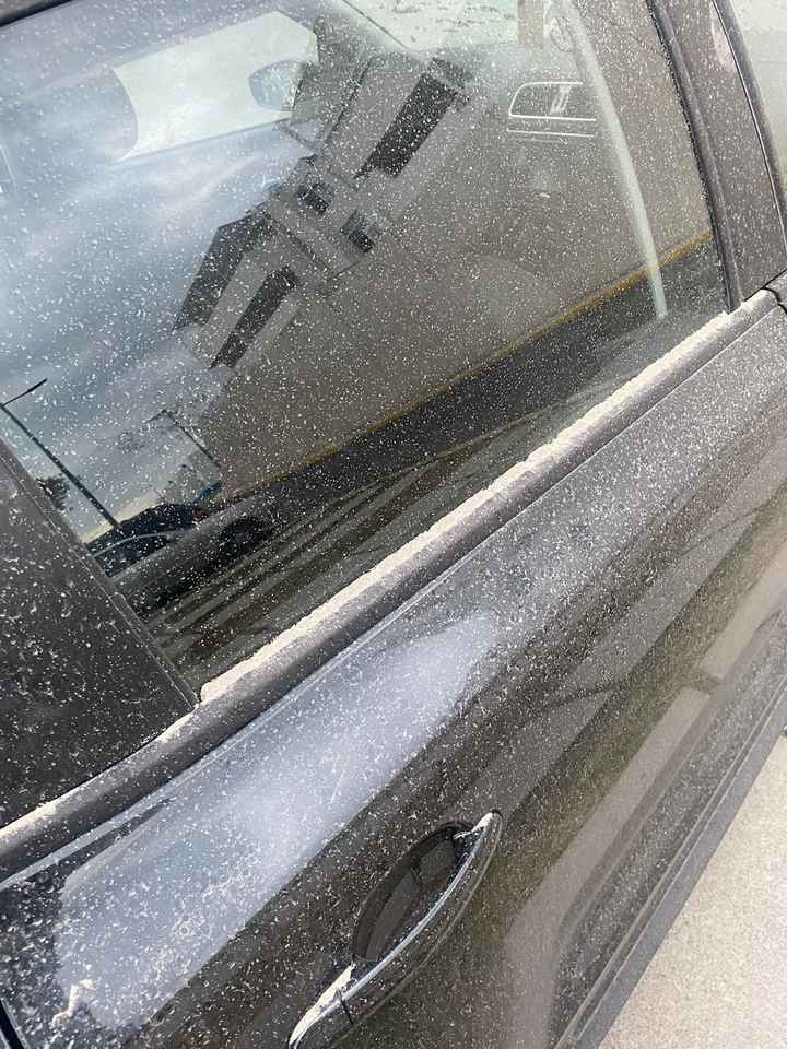 ¿Cuál es tu mayor preocupación ahora mismo? 🤔 - 2
