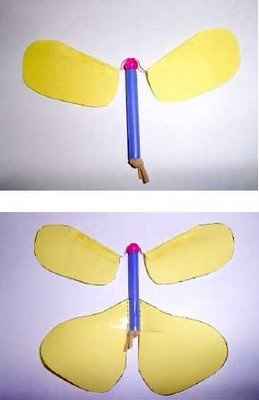 mariposa voladora