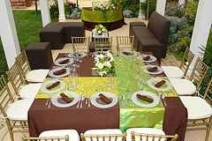 cafe, verde y amarillo