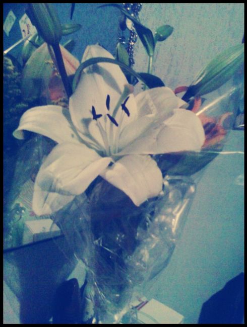 Ultimo cumple mes como novios... maravilloso dia!! :3 - 2