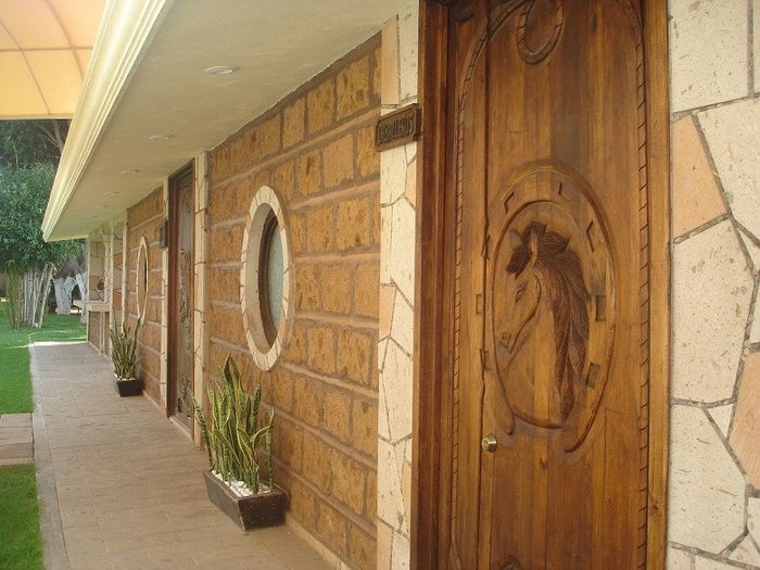 el salon 