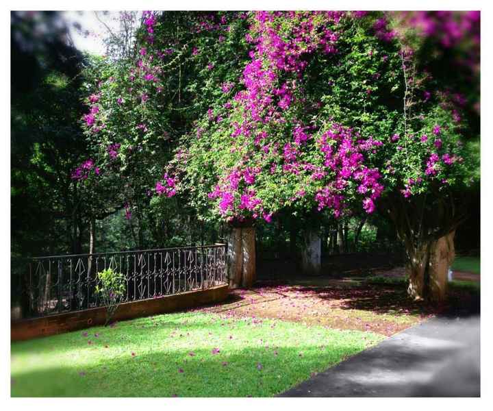 Novi@s de abril 2016 - 4