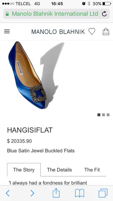 Mis zapatos favoritos son... - 1