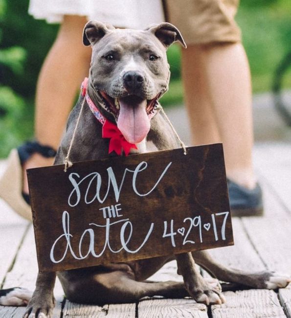 Algún proveedor de Letreros - 1