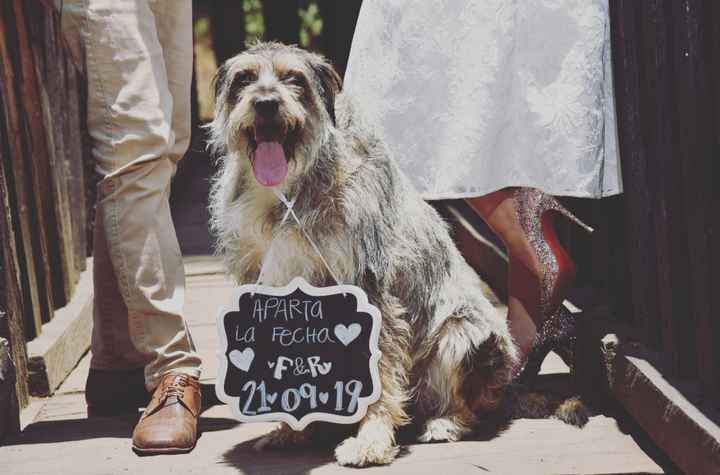 Por fin mis fotos de Save the Date ❤️ - 2